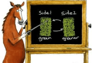 Grass look s greener